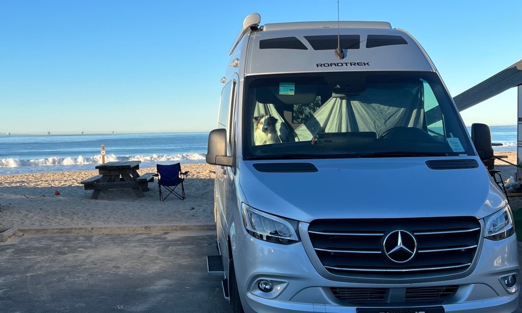 Cassie waiting to be let loose