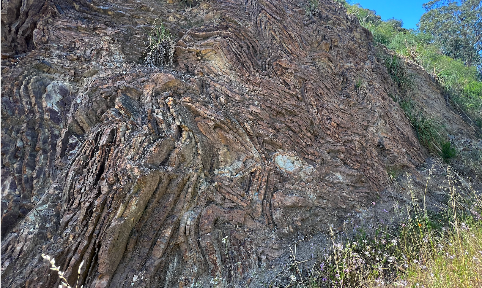 Folded Radiolarian Chert