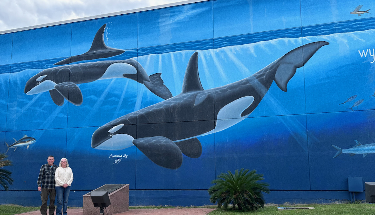 San Padre Island #53