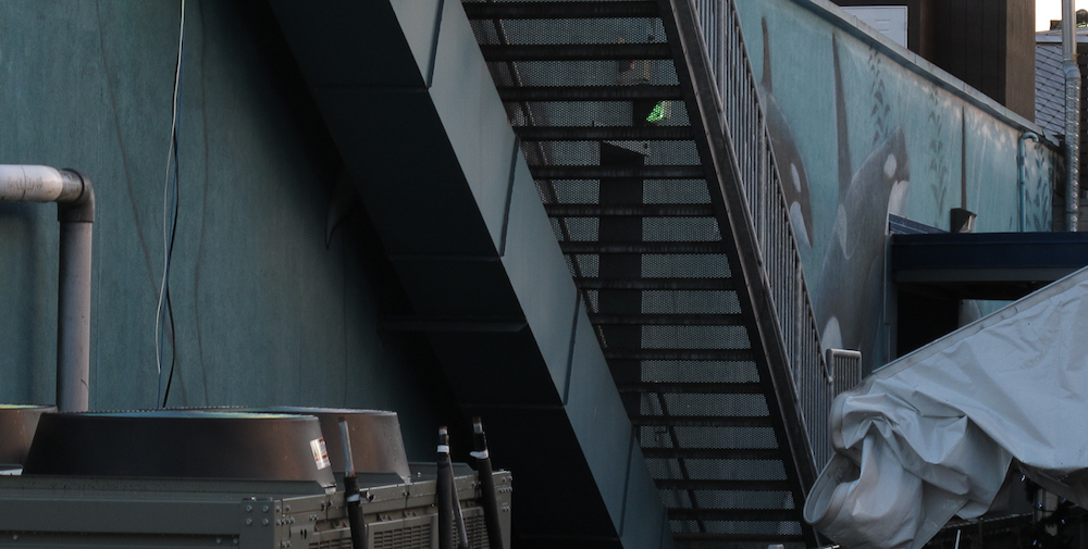 Vancouver Aquarium #55